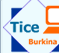 logo tice burkina